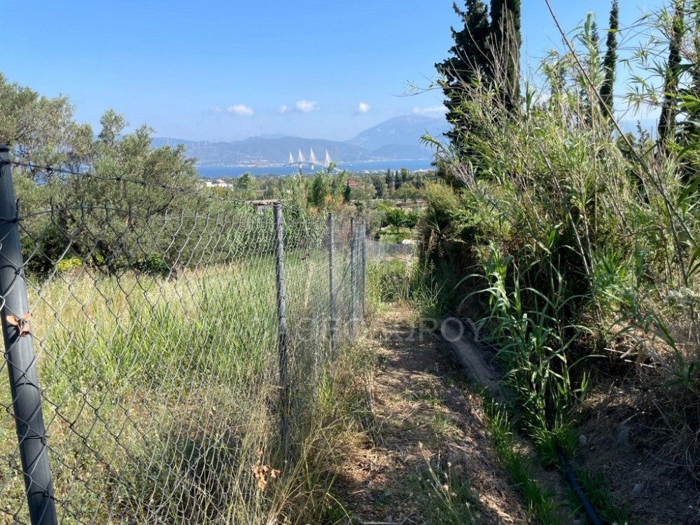 Αγροτεμάχια 1.290 τ.μ. πρός πώληση, Αχαΐα, Πάτρα