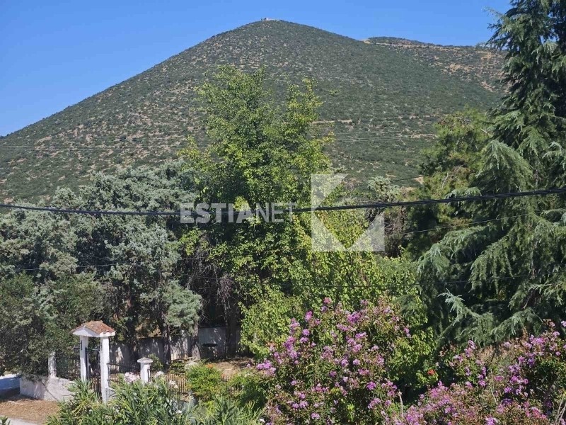 Μονοκατοικία 350 τ.μ. προς πώληση, Αγία Αναστασία Ανθεμούντα