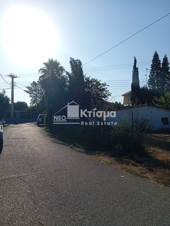 Οικόπεδο 404 τ.μ. πρός πώληση, Ν. Ηλείας, Πύργος