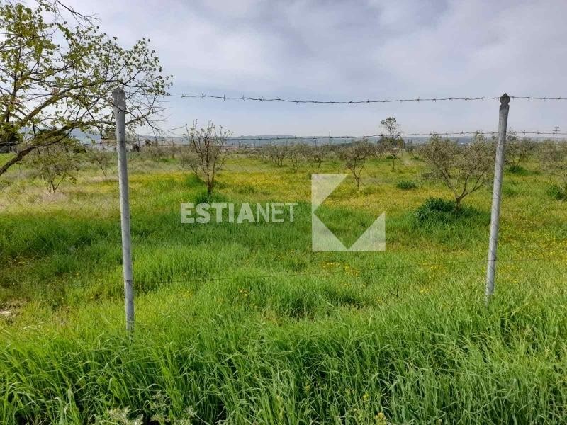 Αγροτεμάχια 5.700 τ.μ. προς πώληση, Νέα Ραιδεστός