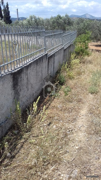 Αγροτεμάχια 370 τ.μ. προς πώληση, Αγία Τριάδα Μαρκοπούλου