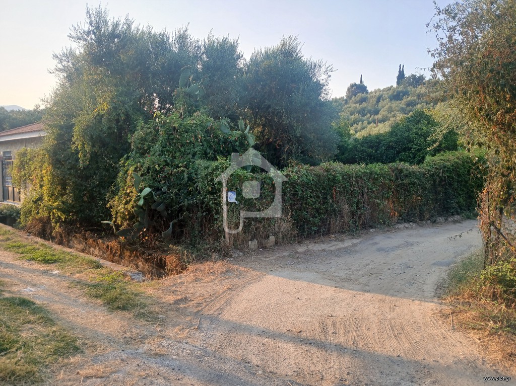 Αγροτεμάχια 1.800 τ.μ. προς πώληση, Μεσσηνία, Αβία