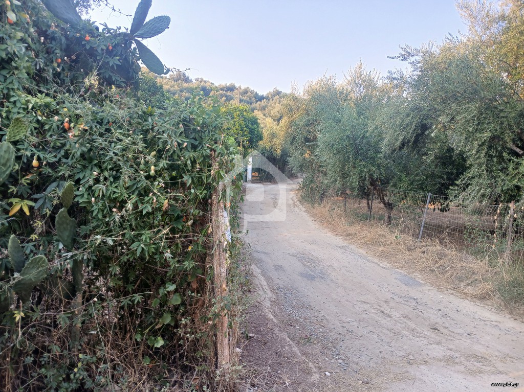Αγροτεμάχια 1.800 τ.μ. προς πώληση, Μεσσηνία, Αβία