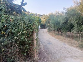 Αγροτεμάχια 1.800 τ.μ. για πώληση, Μεσσηνία, Αβία-thumb-3