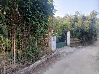 Αγροτεμάχια 1.800 τ.μ. για πώληση, Μεσσηνία, Αβία-thumb-5