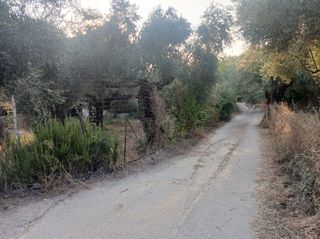 Αγροτεμάχια 1.800 τ.μ. για πώληση, Μεσσηνία, Αβία-thumb-8