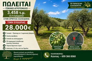 Αγροτεμάχια 3.458 τ.μ. για πώληση