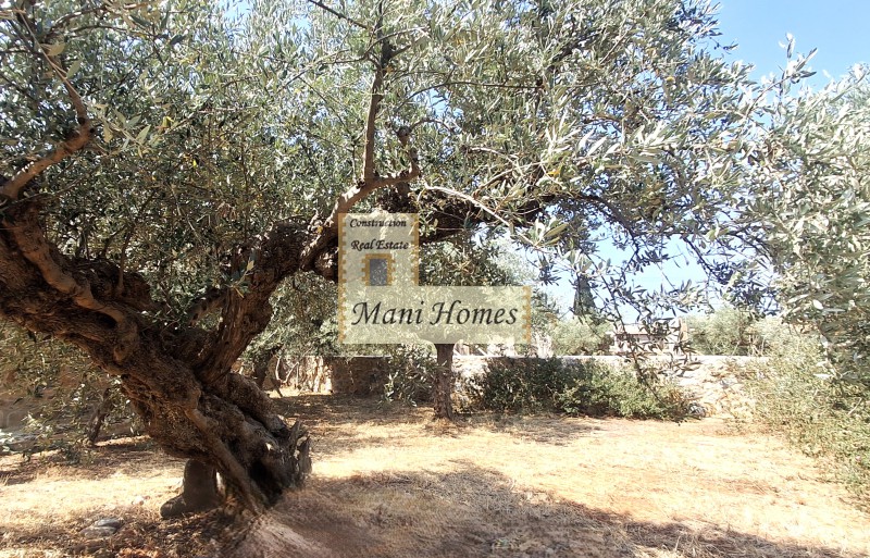 Μονοκατοικία 93 τ.μ. πρός πώληση, Μεσσηνία, Λεύκτρος