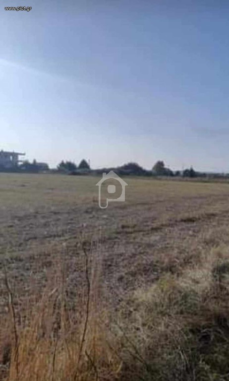 Αγροτεμάχια 6.200 τ.μ. για πώληση, Ν. Σερρών, Σέρρες