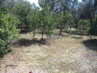 Οικόπεδο 5.342 τ.μ. για πώληση, Αχαΐα, Αίγιο-thumb-1