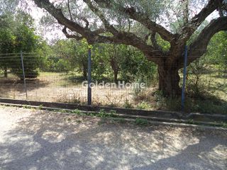 Οικόπεδο 5.342 τ.μ. για πώληση, Αχαΐα, Αίγιο-thumb-2
