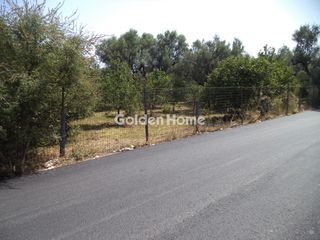 Αγροτεμάχια 5.342 τ.μ. για πώληση