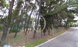 Οικόπεδο 1.292 τ.μ. πρός πώληση