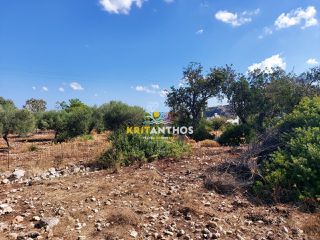 Οικόπεδο 1.009 τ.μ. για πώληση, Ν. Ρεθύμνου, Νικηφόρος Φωκάς-thumb-3