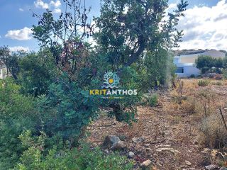 Οικόπεδο 1.009 τ.μ. για πώληση, Ν. Ρεθύμνου, Νικηφόρος Φωκάς-thumb-8