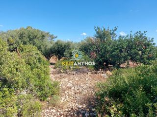 Οικόπεδο 1.009 τ.μ. για πώληση, Ν. Ρεθύμνου, Νικηφόρος Φωκάς-thumb-11