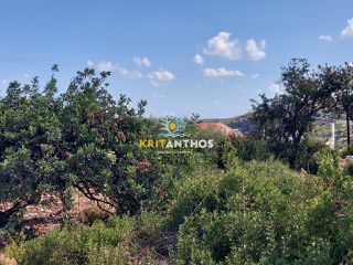Οικόπεδο 1.009 τ.μ. για πώληση, Ν. Ρεθύμνου, Νικηφόρος Φωκάς-thumb-13