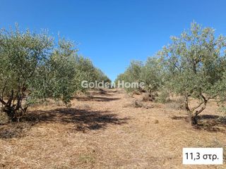 Αγροτεμάχια 33.700 τ.μ. για πώληση, Μεσσηνία, Αριστομένης-thumb-9