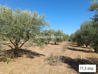 Αγροτεμάχια 33.700 τ.μ. για πώληση, Μεσσηνία, Αριστομένης-thumb-10