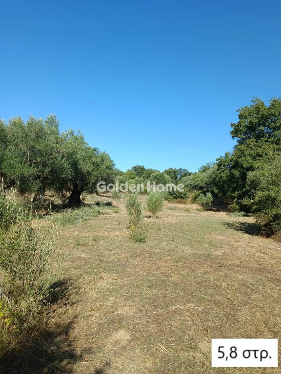 Αγροτεμάχια 33.700 τ.μ. προς πώληση, Πελεκανάδα