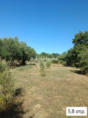 Αγροτεμάχια 33.700 τ.μ. για πώληση, Μεσσηνία, Αριστομένης-thumb-3