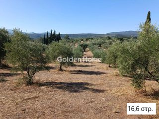 Αγροτεμάχια 33.700 τ.μ. για πώληση, Μεσσηνία, Αριστομένης-thumb-13