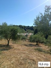 Αγροτεμάχια 33.700 τ.μ. για πώληση, Μεσσηνία, Αριστομένης-thumb-12