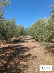 Αγροτεμάχια 33.700 τ.μ. για πώληση, Μεσσηνία, Αριστομένης-thumb-6