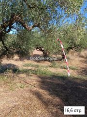 Αγροτεμάχια 33.700 τ.μ. για πώληση, Μεσσηνία, Αριστομένης-thumb-16