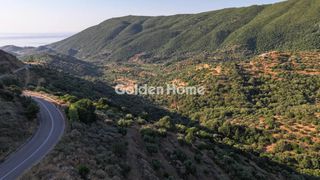 Οικόπεδο 4.629 τ.μ. για πώληση