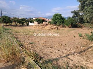 Οικόπεδο 1.260 τ.μ. για πώληση, Μεσσηνία, Άριο-thumb-1