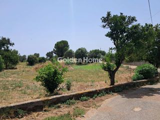 Οικόπεδο 1.260 τ.μ. για πώληση, Μεσσηνία, Άριο-thumb-3