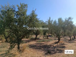 Αγροτεμάχια 5.800 τ.μ. για πώληση, Μεσσηνία, Αριστομένης-thumb-1