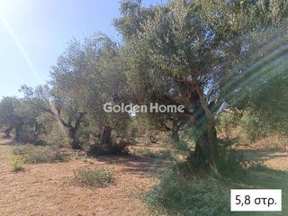 Αγροτεμάχια 5.800 τ.μ. για πώληση, Μεσσηνία, Αριστομένης-thumb-3