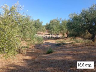 Αγροτεμάχια 16.600 τ.μ. για πώληση, Μεσσηνία, Αριστομένης-thumb-4