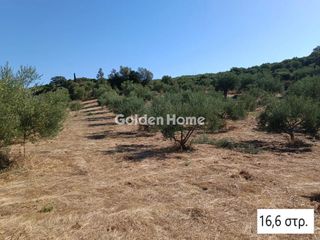 Αγροτεμάχια 16.600 τ.μ. για πώληση, Μεσσηνία, Αριστομένης-thumb-7