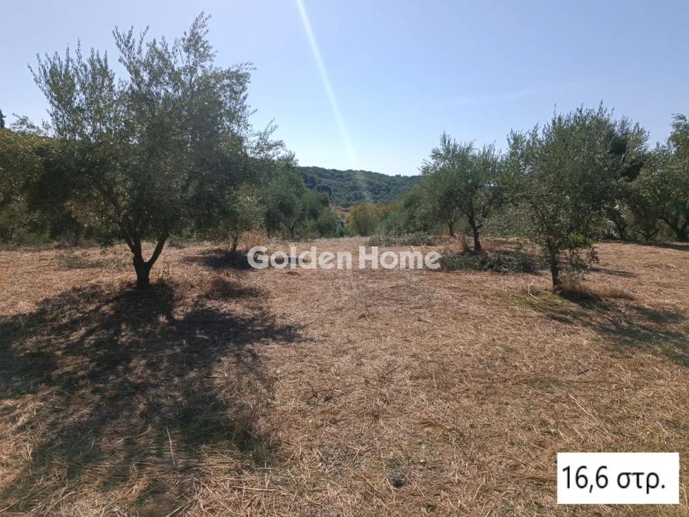 Αγροτεμάχια 16.600 τ.μ. προς πώληση, Πελεκανάδα