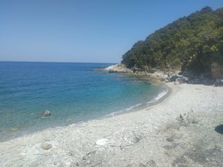 Αγροτεμάχια 4 τ.μ. για πώληση, Μαγνησία, Αφέτες-thumb-1