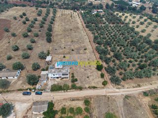 Μονοκατοικία 150 τ.μ. για πώληση, Αργολίδα, Λέρνα-thumb-24