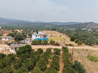 Μονοκατοικία 150 τ.μ. για πώληση, Αργολίδα, Λέρνα-thumb-36