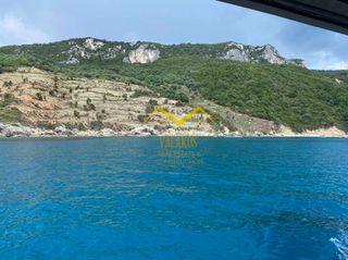 Αγροτεμάχια 45.000 τ.μ. για πώληση