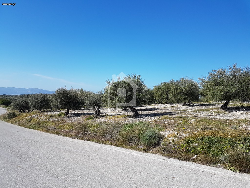 Αγροτεμάχια 7.232 τ.μ. για πώληση, Ν. Ηρακλείου, Ζαρός