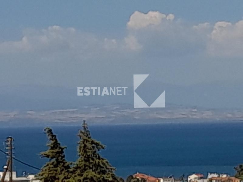 Αγροτεμάχια 5.200 τ.μ. προς πώληση, Νέα Κερασιά