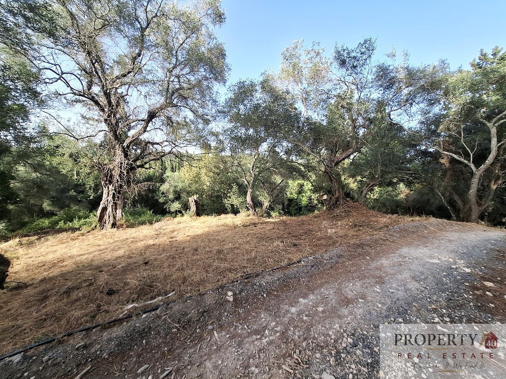 Οικόπεδο 3.696 τ.μ. πρός πώληση, Ν. Κέρκυρας, Κέρκυρα