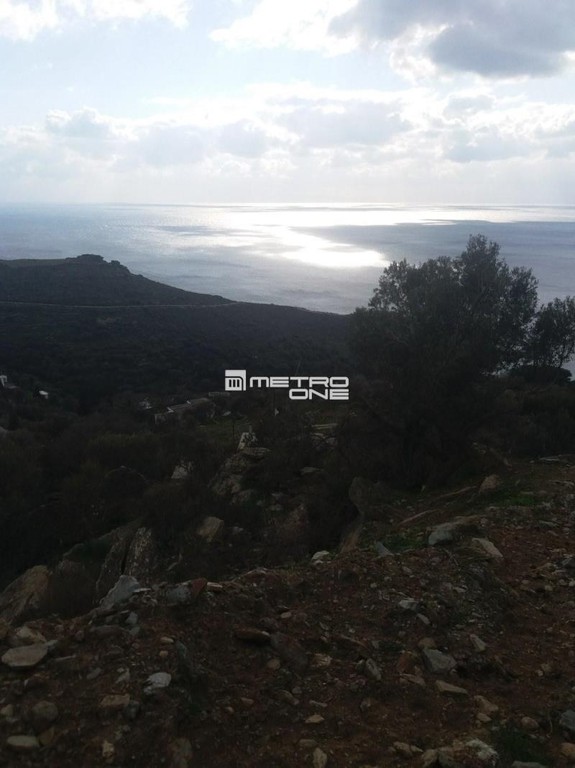 Αγροτεμάχια 4.644 τ.μ. προς πώληση, Χώρα Άνδρου