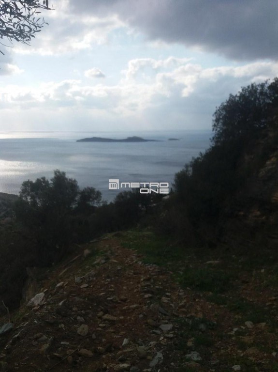 Αγροτεμάχια 4.644 τ.μ. προς πώληση, Χώρα Άνδρου