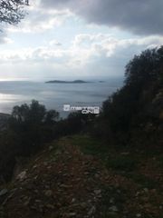 Αγροτεμάχια 4.644 τ.μ. για πώληση