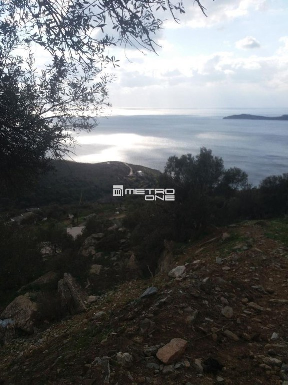 Αγροτεμάχια 4.644 τ.μ. προς πώληση, Χώρα Άνδρου