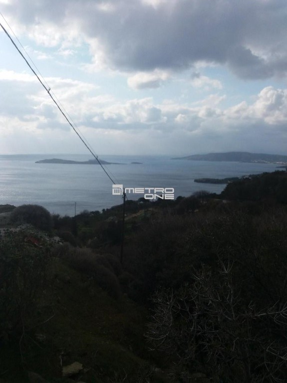 Αγροτεμάχια 4.644 τ.μ. προς πώληση, Χώρα Άνδρου