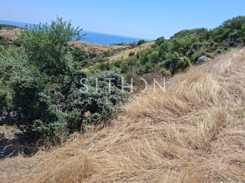 Οικόπεδο 500 τ.μ. προς πώληση, Σκάλα Συκέας